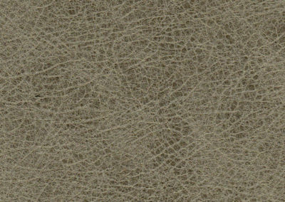 SOFT TOUCH Beton lederen vloeren en lederen wanden
