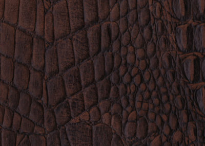 Cayman Cayman Antique lederen vloeren en lederen wanden