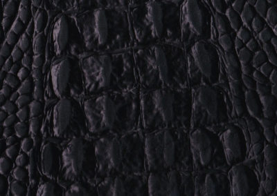 Cayman Black lederen vloeren en lederen wanden