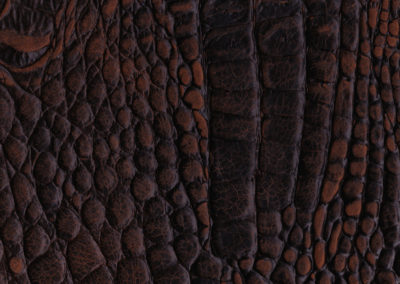 Cayman Brown lederen vloeren en lederen wanden