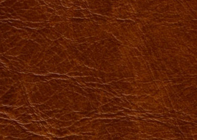 SOFT TOUCH Cognac lederen vloeren en lederen wanden