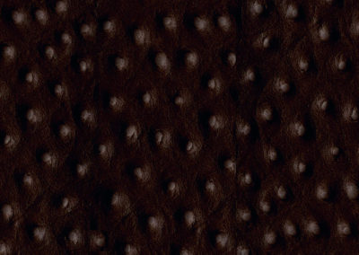 SOFT TOUCH Ostrich Brown lederen vloeren en lederen wanden