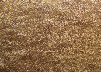SOFT TOUCH Royal Gold lederen vloeren en lederen wanden