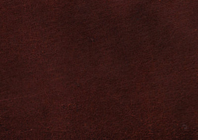 CLASSIC Cognac lederen vloeren en lederen wanden