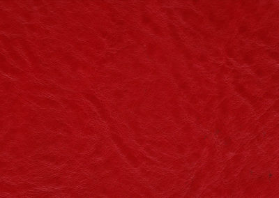 CLASSIC Dragon Red lederen vloeren en lederen wanden