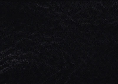 CLASSIC Infinity Black lederen vloeren en lederen wanden